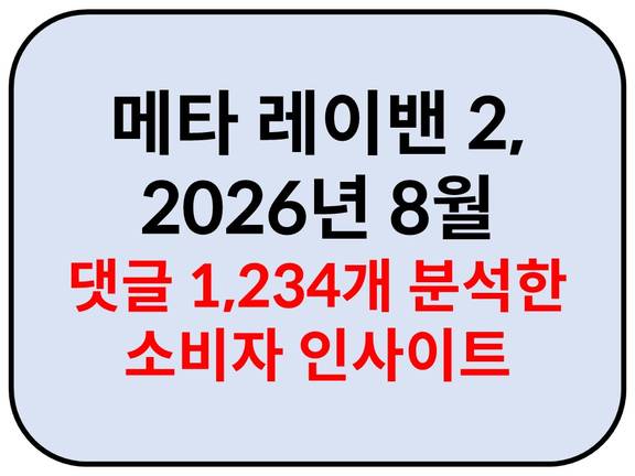 Intro. 메타 레이밴 2 소비자 인사이트