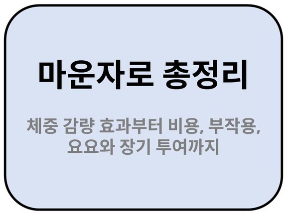 소개글 
