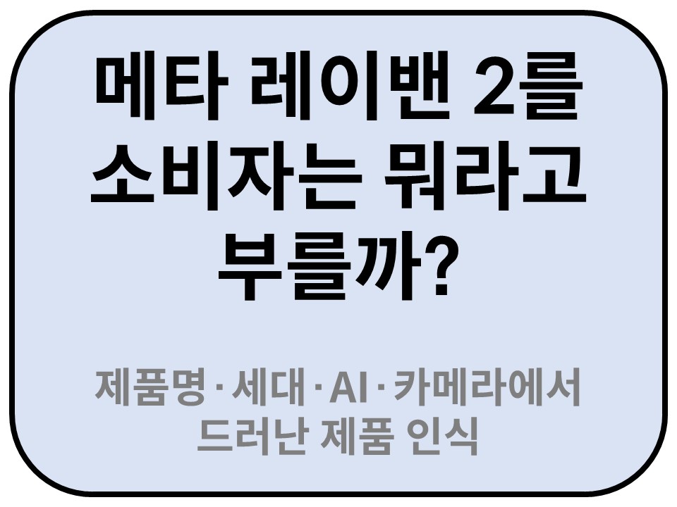 Intro. 메타 레이밴 2를 소비자는 뭐라고 부를까